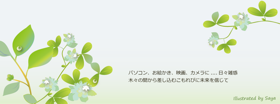 ẴC[W