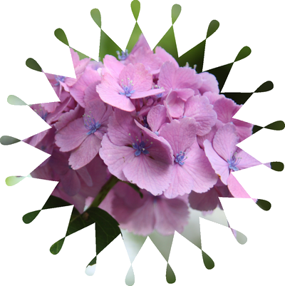 Inkscapeŉ摜؂蔲Ă܂