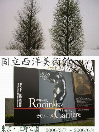 Q̉摜