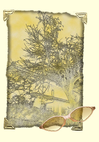 ĉĂ݂܂