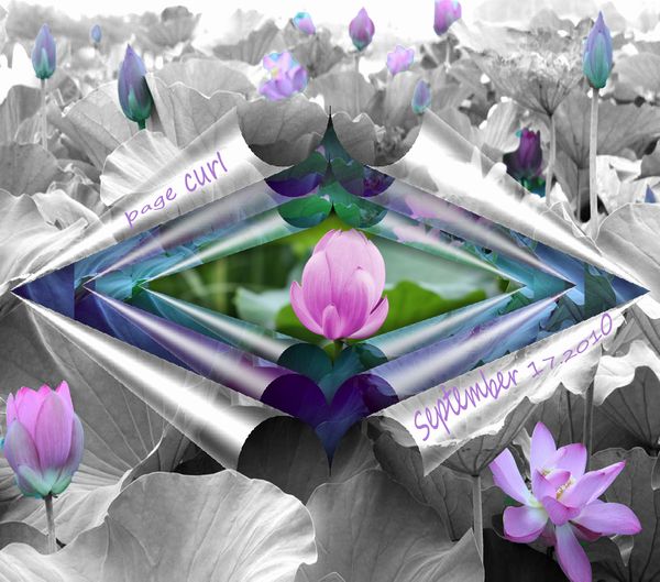 3d̃y[WJ[@hł