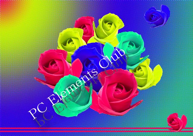 NCbNIc[ƐF̒u