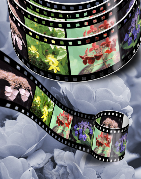 IllustratorElements̃R{ł