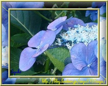 �Ԃ̈ꕔ���z��