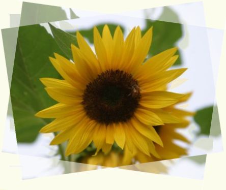 �O���d��