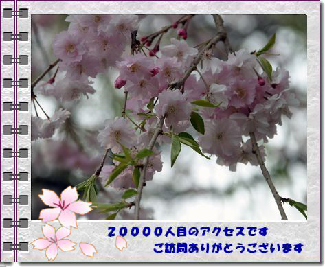 �L���ԗp��