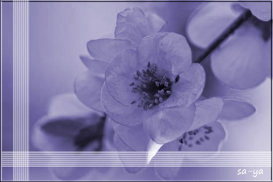 ���m�g�[��