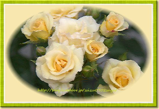 �e�N�X�`���Ŋz