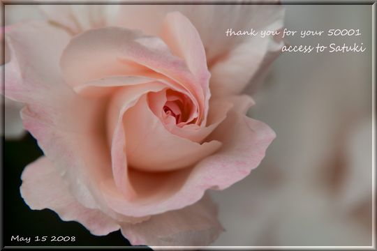 �}�`���_�Ő؂�ԃJ�[�h