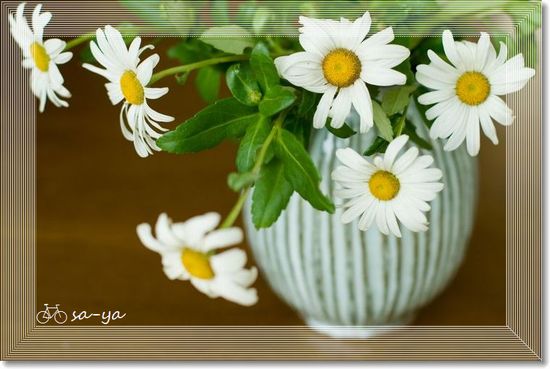 �G�t�H���g�ŗV��