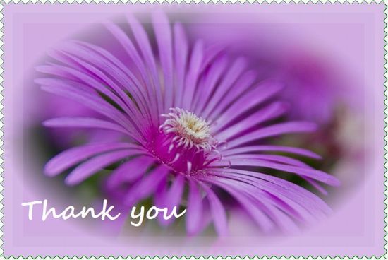 �t�F�[�h��������