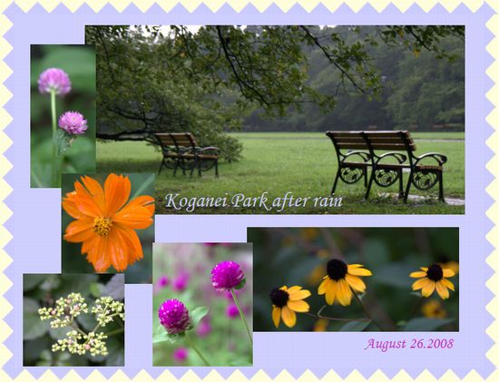 �����_���ɍ���