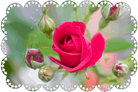 ���[�X��