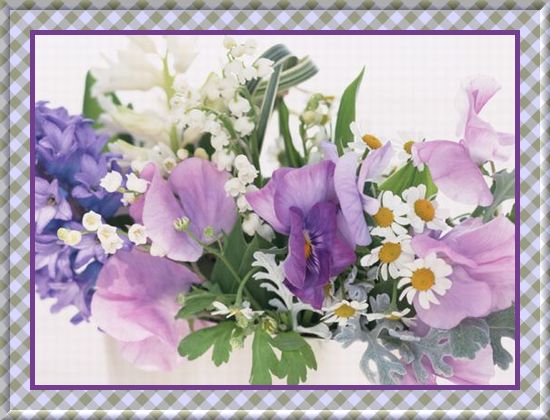 JTrim�ō�����o�C�A�X��