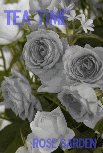 �t�H���g�������Č�����悤�ɂ��Ă��܂�