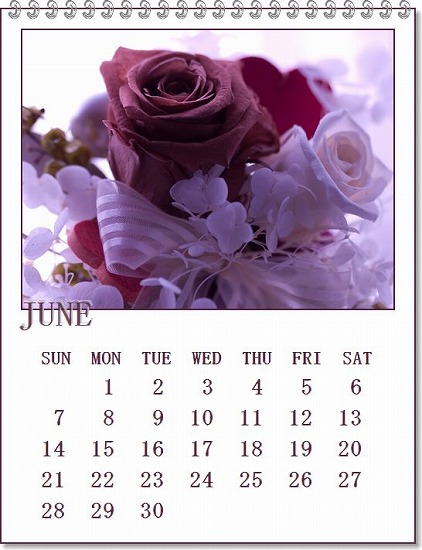 �J�����_�[������Ă݂܂���