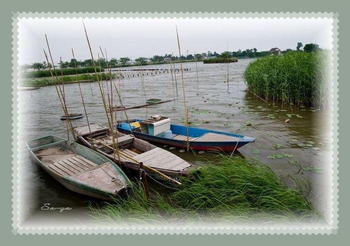 ���[�X�������ł�