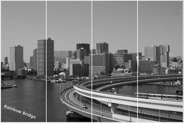 ���C���{�[�u���b�W����݂����m�g�[���̓���