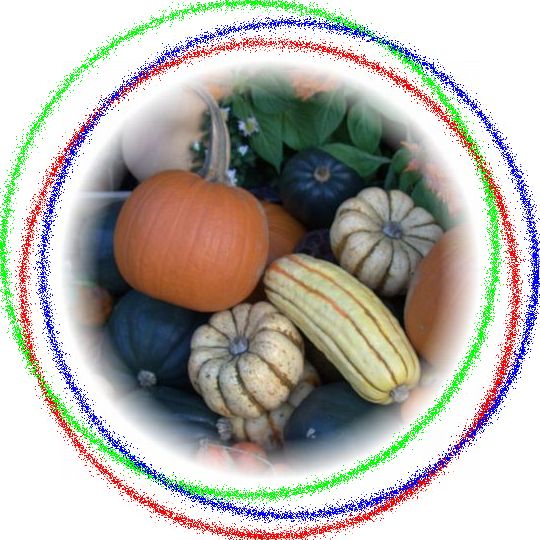 �g�U�̃A�����W