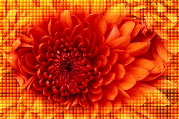 �����u���C���h�̃A�����W