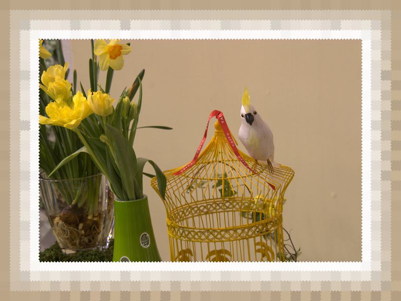 80�Ɠ�����@