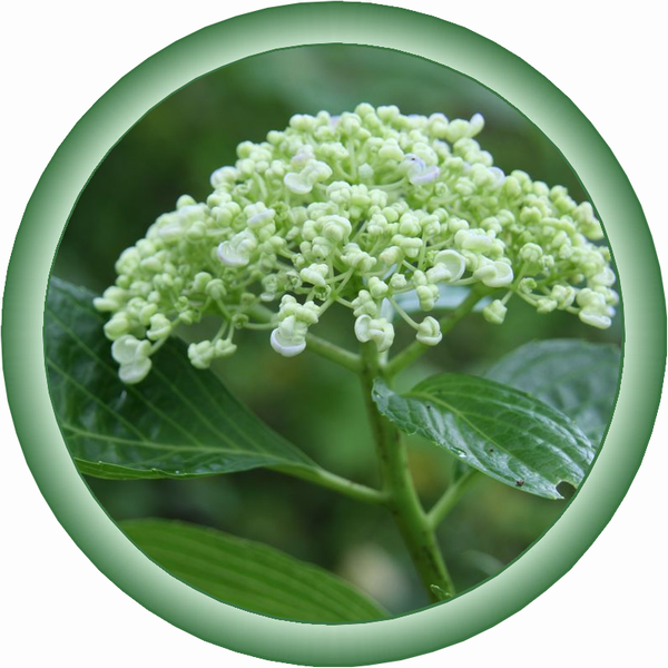 ���R�ł������^�b�`